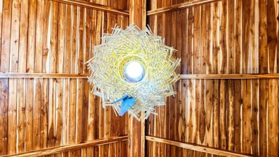 Baan Bhuwann Forest Chalet – Fotos 15